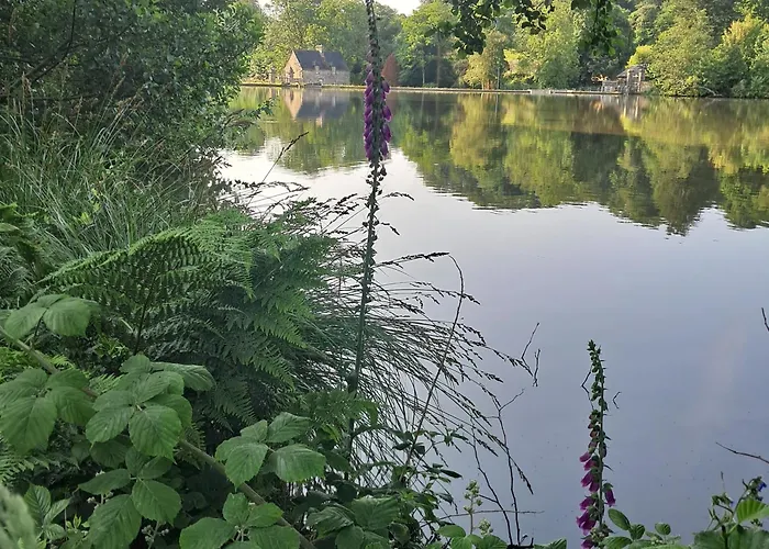 Hébergement de vacances Loge De La Saire Gonneville-Le Theil